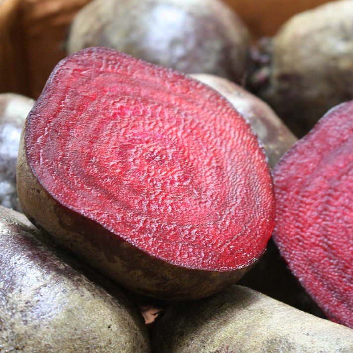 세모농 청정 제주 레드비트 햇 비트, 레드비트 5kg 중상