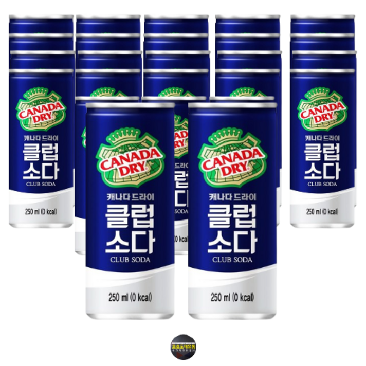  [호호마켓] 캐나다드라이 클럽소다, 30개, 250ml 