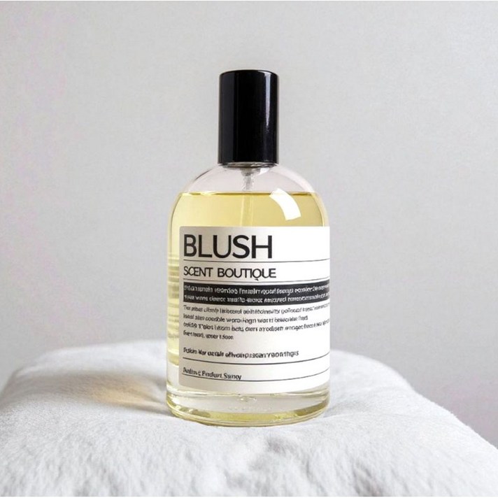 블러쉬 고급 드레스퍼퓸 섬유향수 룸스프레이, 1개, 100ml, 도손호환