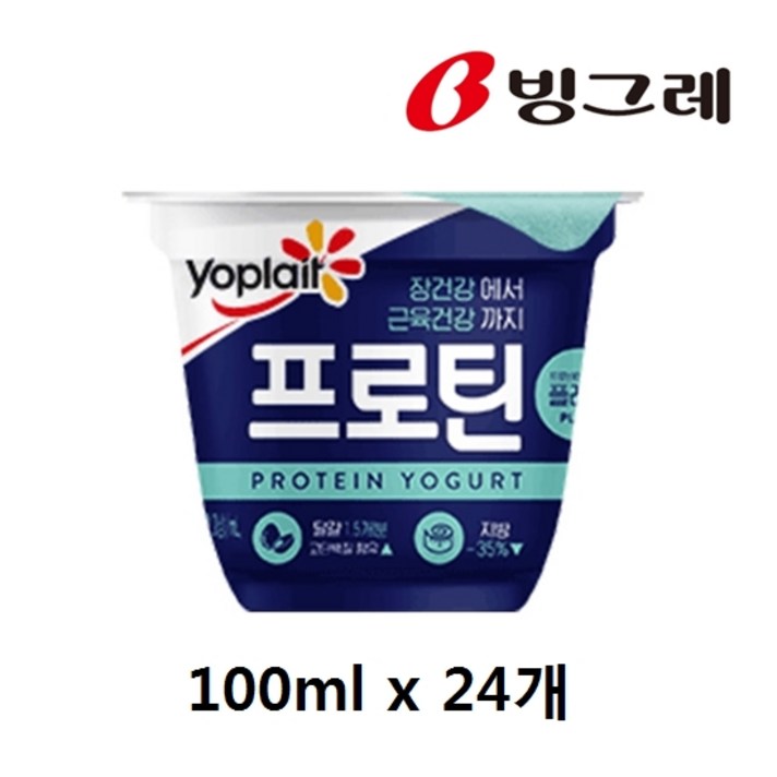 빙그레 요플레 떠먹는프로틴 플레인 100g, 24개