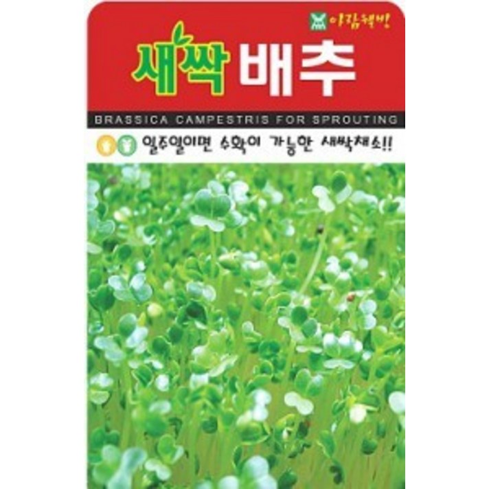 보람농자재 새싹적양배추 씨앗 [30g/300g], 300g