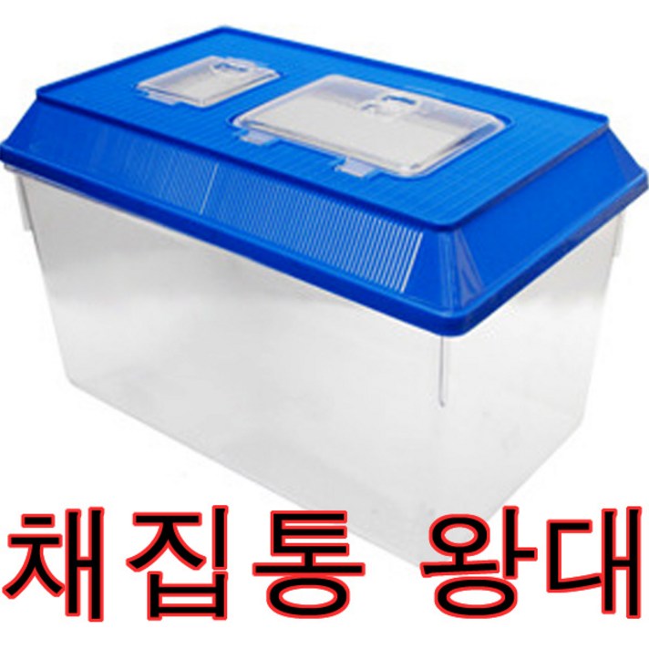 채집통 왕대 왕특대 햄스터&곤충&거북이 케이지 사육장, 뚜껑색상랜덤배송, 1개