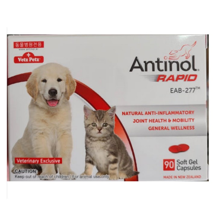 안티놀 래피드 대용량 리뉴얼 강아지 고양이 Antinol 관절영양제