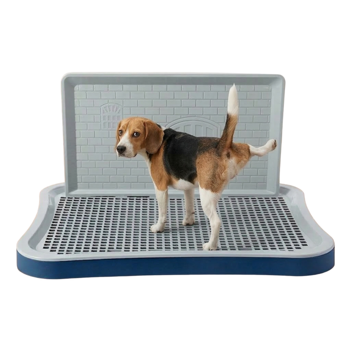 김또콩 강아지 담벼락 배변판, 1개, 블루 그레이