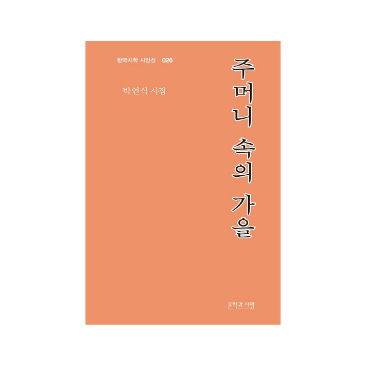 주머니 속의 가을:박연식 시집