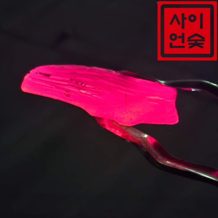 사이언숯 두번 구운 리치 참숯 10kg (소), 1개, 10kg