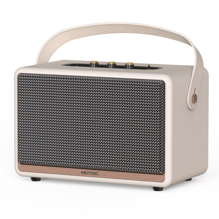 엠지텍 마제스티8 프리미엄 휴대용 감성 블루투스 스피커 앰프 카페 매장용 업소용 캠핑용, 혼합색상, 단일상품