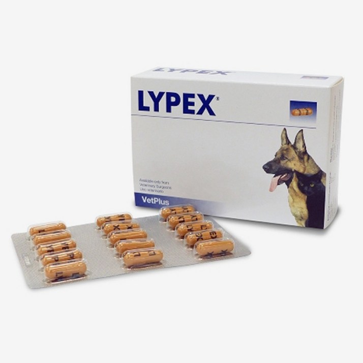벳플러스 라이펙스 60캡슐 LYPEX 벳플러스 라이펙스 60캡슐 LYPEX