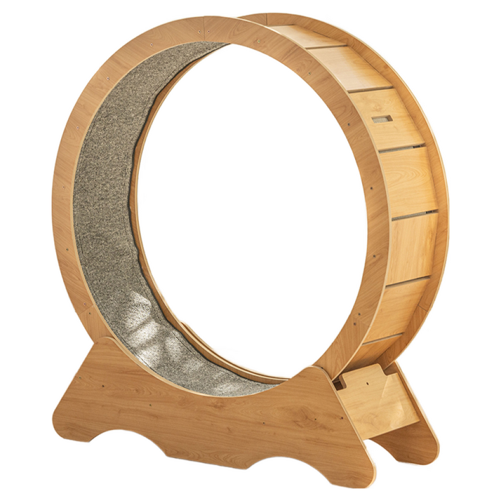 메일켓 고양이 캣휠 DJWFPD100, 원목, 1개