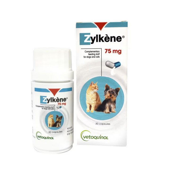 베토퀴놀 반려동물 질켄 영양제