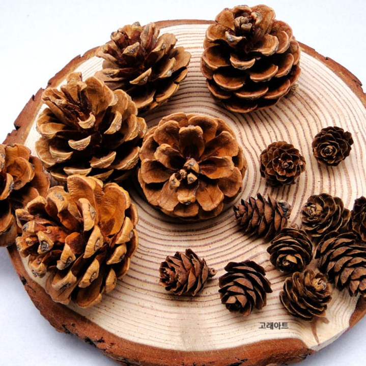 자연 솔방울 크리스마스 장식