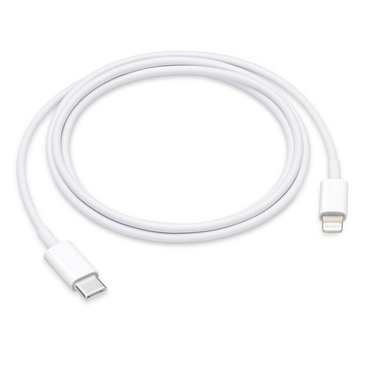 Apple 정품 LightningC타입 충전 케이블, Lightning, C타입, 1m