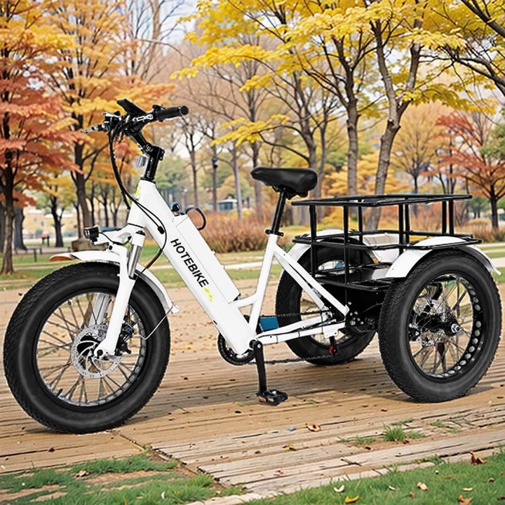 HOTEBIKE 500W 고급형 전동 전기 화물 자전거 3륜 3바퀴 전기 세발자전거 배달서비스