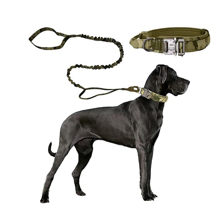 전술 개 목걸이, 조절 가능한 군사 훈련 나일론 개 목걸이, 컨트롤 손잡이와 헤비 메탈 버클 포함 XL, 아미세트 1칼라1목줄