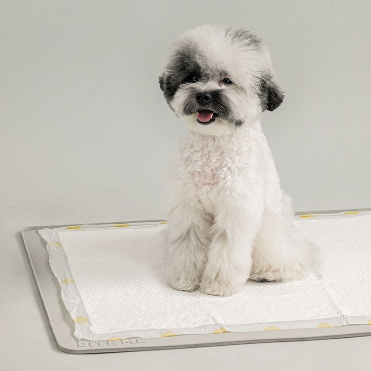 바잇미 강아지 논슬립 실리콘 배변매트 표준형