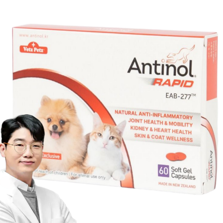 안티놀 래피드 60정