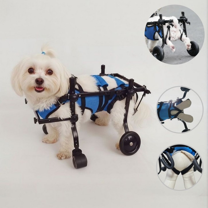 포유포펫 강아지 휠체어 애견 4륜 보행 보조기, 1개, 파스텔 블루
