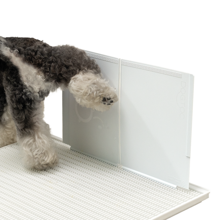 독톡 강아지 배변판 마킹 수비대