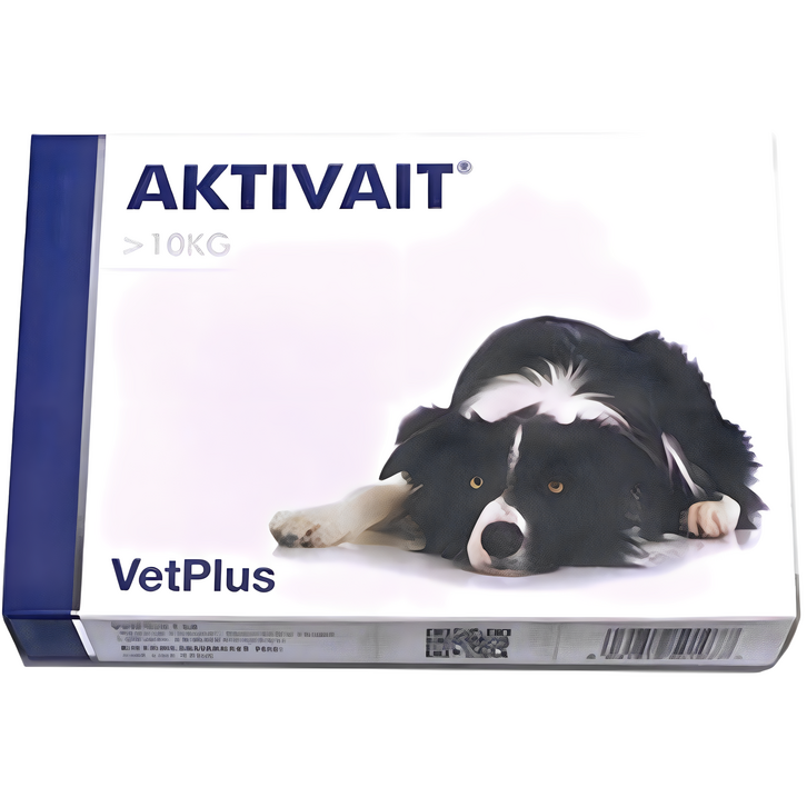 벳플러스 액티베이트 중대형견 미디움 라지 강아지 독 영양제 60캡슐 두뇌 항산화제