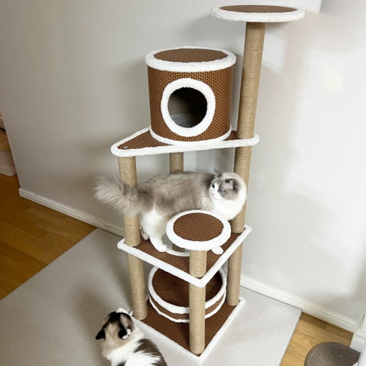 캣타워diy 펫카 고양이 튼튼 스크래쳐 하우스 캣타워 PTWT-01, 1RO