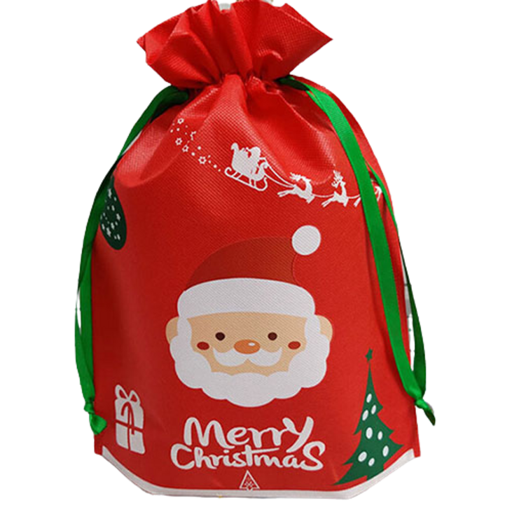크리스마스 산타 부직포 복주머니 10PCS 선물 포장