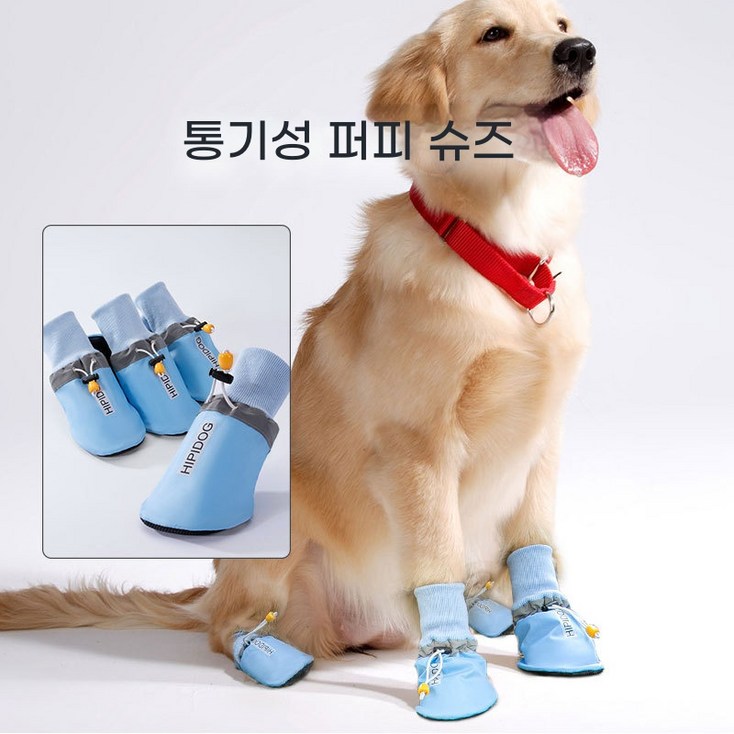 대형견 중형견 겸용 미끄럼방지 이중구조 사계절 외출용 블랙 강아지 신발 4P, 블루 사계절용