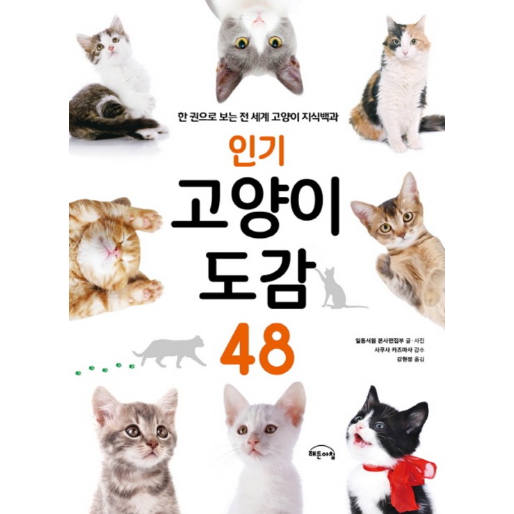 인기 고양이 도감 48한 권으로 보는 전 세계 고양이 지식백과