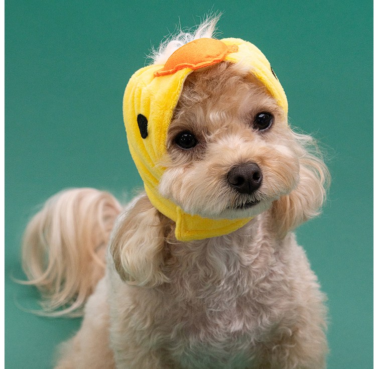 도그아이 강아지 모자 애니멀캡