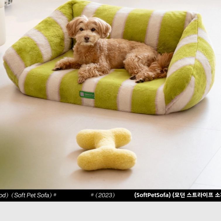 미우펀 MewooFun 고양이 강아지 미끄럼방지 스프라이트 펫쇼파침대, 녹색, 1개