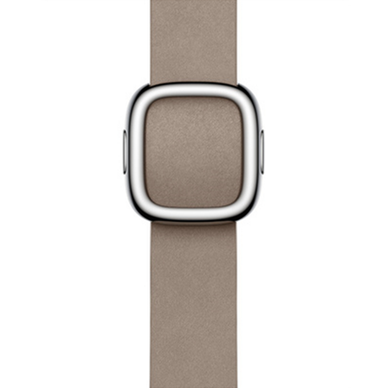 Apple 정품 애플워치 모던 버클, 38/40/41mm, Large, 탠 1