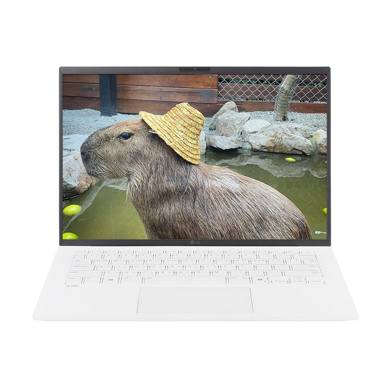 LG전자 2023 그램 14 코어i5 인텔 13세대, 스노우 화이트, 512GB, 16GB, WIN11 Pro, 14Z90R-GP5ML 1