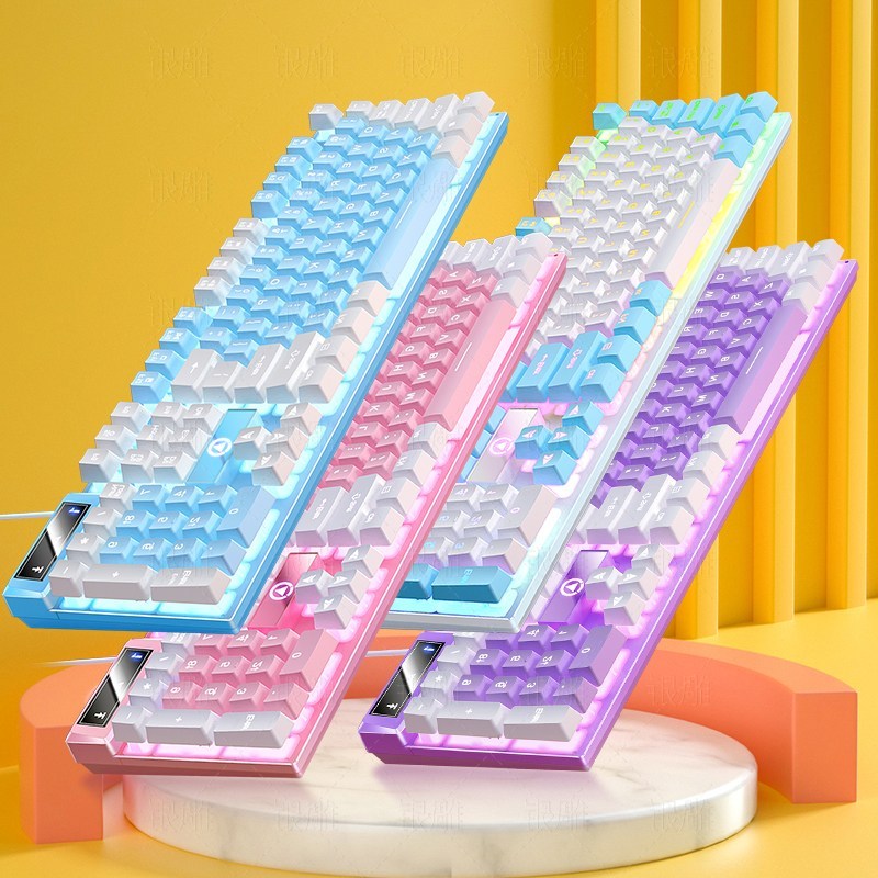 히모망 레인보우 LED 기계식 키보드 갈축 게이밍 유선키보드 일반 K500 화이트핑크, 화이트퍼플[믹스광택] - thumb image