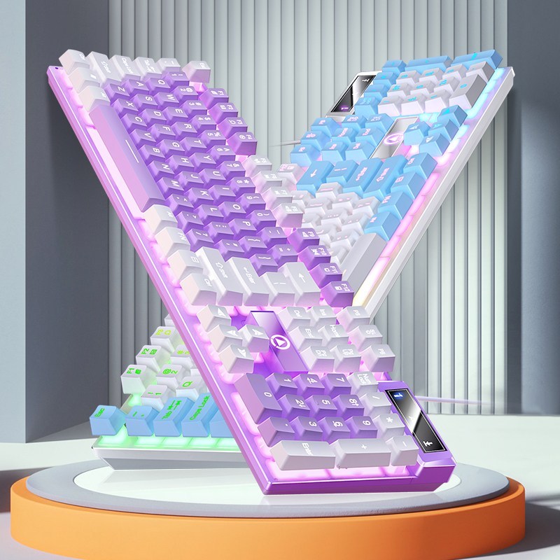 히모망 레인보우 LED 기계식 키보드 갈축 게이밍 유선키보드 일반 K500 화이트핑크, 화이트퍼플[믹스광택] - thumb image